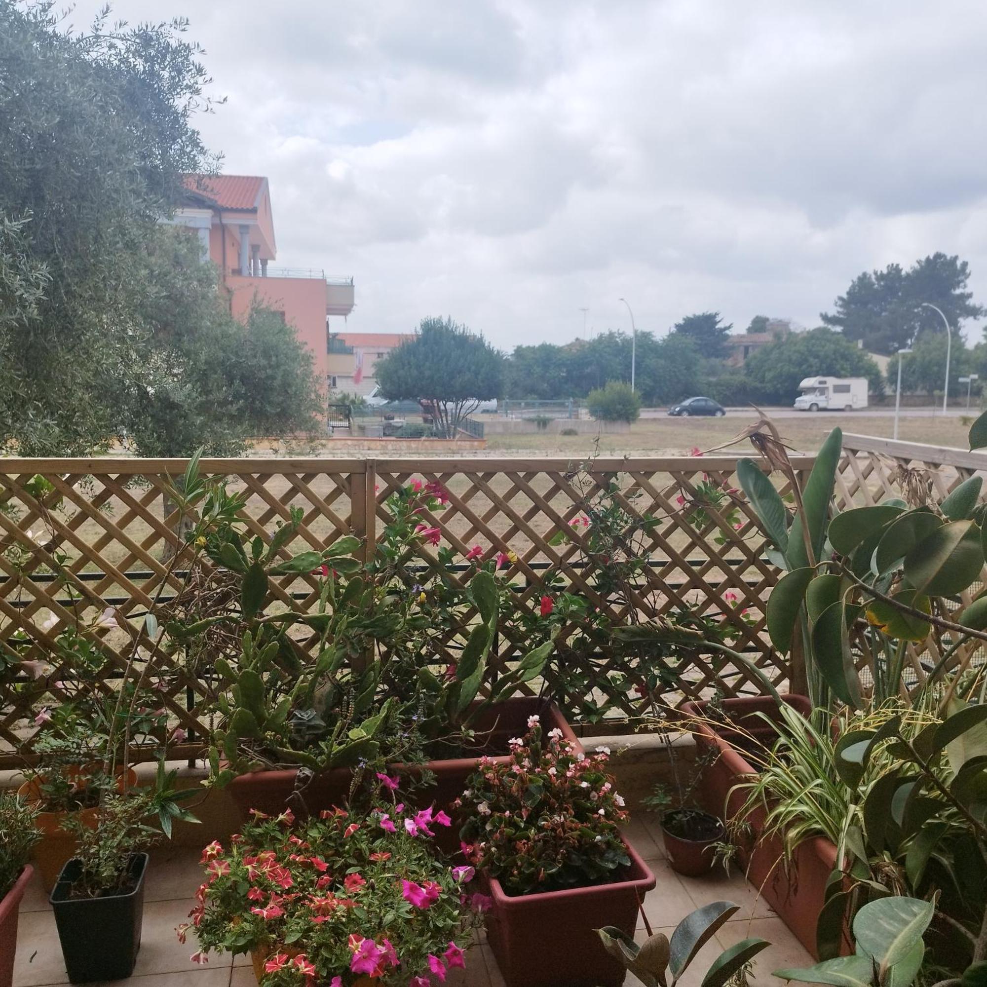Alghero Lovely Flat Apartment Exterior foto